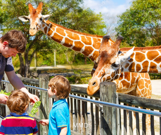 Educational Trips & Excursions